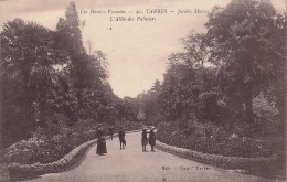 Delcampe - 65 TARBES JARDIN MASSEY L ALLEE DES PALMIERS - Tarbes