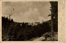 Delcampe - Bühl - Kurhaus Hundseck - Bühl