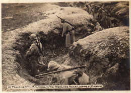 Delcampe - Photo Guerre WWI Chien De Tranchée Luippes Marne - Guerre, Militaire