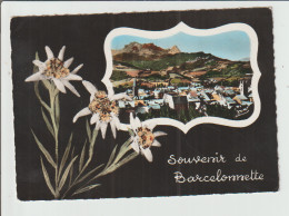 Delcampe - Alpes De Haute Provence :  BARCELONNETTE : Vues, Fleurs 1960 - Barcelonnette