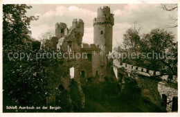 Delcampe - Auerbach Bergstrasse Schloss - Bensheim