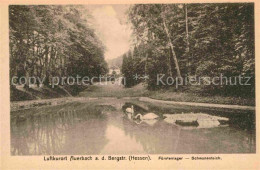 Delcampe - Auerbach Bergstrasse Fuerstenlager Schwanenteich - Bensheim