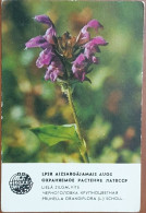 Delcampe - LATVIA (Letónia) - Pocket Calendar - 1982 - Theme: Protected Plants Of Latvia - Prunella Grandiflora - Small : 1981-90