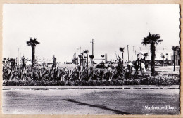 Delcampe - 19514 /  Peu Commun Photo DESPRATS NARBONNE PLAGE Aude Aloes Rond Point Arrivée Boulevard Commercial 1950s - Narbonne