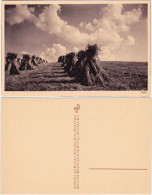 Delcampe - Ansichtskarte  Geerntetes Feld Getreidebündel 1927 - Bauern