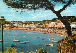 Delcampe - CPM Costa Brava Llafranch - Gerona
