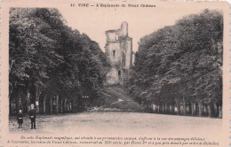 Delcampe - 14 VIRE L ESPLANADE DU VIEUX CHATEAU - Vire