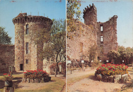 Delcampe - 78 CHEVREUSE CHATEAU DE LA MADELEINE - Chevreuse