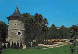 Delcampe - 85 LUCON LE JARDIN PUBLIC - Lucon