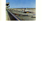 Delcampe - Aviation > Aérodromes  MALEV  /// 2031 // VOIR  CONDITION - Aerodromes