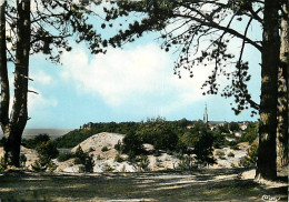 Delcampe - Carte Postale - 54 - Vezelise - Pèlerinage De Notre Dame De Sion - Vue Sur La Colline - CPM - Voir Scans Recto-Verso - P - Vezelise