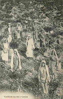 Delcampe - Carte Postale Ancienne - Sri Lanka - Cueillette Du Thé à Ceylan - Animée - Folklore - Scènes Et Types - Précurseur - CPA - Sri Lanka (Ceylon)