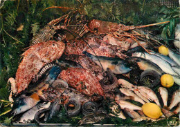 Delcampe - Carte Postale - Recettes De Cuisine - Bouillabaisse - CPM - Voir Scans Recto-Verso - Poscard - Carta Postal -  Postkarte - Küchenrezepte