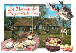 Delcampe - Carte Postale - Recettes De Cuisine - Normandie - Pommes - Fromages - Gastronomie - CPM - Voir Scans Recto-Verso - Posca - Küchenrezepte