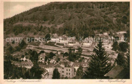 Delcampe - Triberg Schwarzwald Am Kapellenberg - Triberg