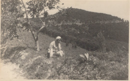 Delcampe - Hillside Landscape Woman By Tree Hills Vintage Photo #SCM699 - Madrid
