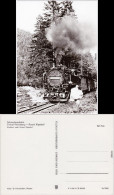 Delcampe - Schmalspurbahn Weißeritztalbahn Dampflok 99 1734-5 Einfahrt Kipsdorf 1982 - Kipsdorf