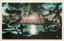 Delcampe - CPA St Raphael Coucher De Soleil - Saint-Raphaël