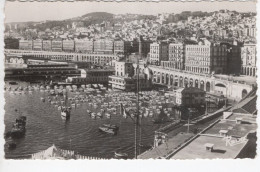 Delcampe - Alger / Le Port - Algerien