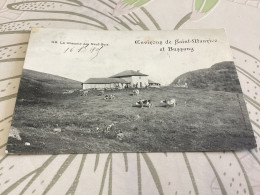 Delcampe - BUSSANG.  Ferme. Pâturage.  La Chaume De. Neuf Bois. Ei4. 6/26 - Bussang