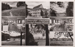 Delcampe - D-72226 Simmersfeld - Luftkurort - Schwarzwald - Gasthof Pension Hirsch - Calw