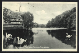 Delcampe - AK Saarbrücken, Forsthaus Deutschmühlen-Weiher Mit Schwänen - Jagd