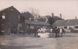 Delcampe - Cricklewood London Horses Home Of Rest Antique Real Photo Postcard - Pferde