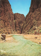 Delcampe - MAROC TODRA LES GORGES DU TODRA - Sonstige & Ohne Zuordnung