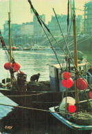 Delcampe - 50 CHERBOURG LE PORT DE PECHE - Cherbourg