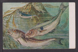 Delcampe - Ansichtskarte Tiere Fische Schellfisch Makrele Brasse Fischer Fischerei - Andere & Zonder Classificatie