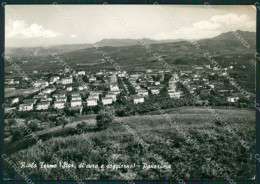Delcampe - Ravenna Riolo Terme Foto FG Cartolina ZK4625 - Ravenna