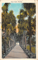 Delcampe - US2006 USA Florida Palm Walk Promenade - Welt