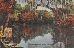 Delcampe - US2024 USA Florida Beautiful Suwannee River Lake Landscape - Welt