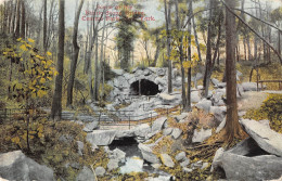 Delcampe - BR101271 New York Central Park Rustic Stone Bridge   Usa - Welt