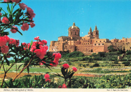 Delcampe - MALTE MDINA CATHEDRALE - Malta