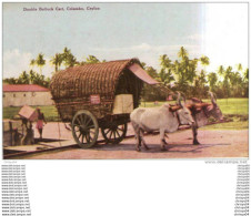 Delcampe - CEYLAN CEYLON  COLOMBO DOUBLE BULLOCK CART DOUBLE ATTELAGE BOEUFS TRANSPORT - Sri Lanka (Ceylon)