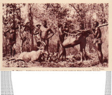 Delcampe - 84Vn   Centrafrique Paoua Antilopes Tuées Pour Les Porteurs Chasse Chasseurs - Zentralafrik. Republik