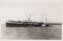 Delcampe - Dutch Passenger Cargo Steamship 813 Postcard Size Real Photo #SDB670 - Dampfer