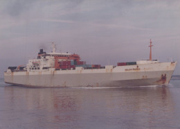 Delcampe - NEDLLOYD ROCKANJE Container Ship Postcard Size Real Photo #SDD323 - Handel