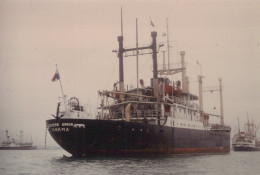 Delcampe - EASTERN UNION PANAMA Cargo Ship Postcard Size Real Photo #SDF685 - Handel