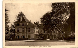 Delcampe - Chateau De Coppet, Vu Du Parc * 26. 7. 1929 - Coppet