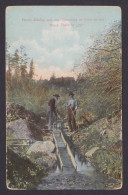 Delcampe - Postcard, United States, Placer Mining And The Discovery Of Gold - Bergbau
