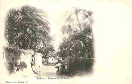 Delcampe - Carte Postale Ancienne - Algérie - Biskra - Chemin De M'Cide - Animée - CPA - Voir Scans Recto-Verso - Poscard - Carta P - Biskra