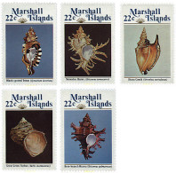 Delcampe - 44281 MNH MARSHALL Islas 1985 CONCHAS - Coneshells