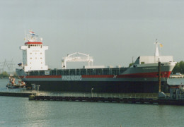 Delcampe - NORRABORG Cargo Ship 1999 Postcard Size Real Photo #SDG067 - Handel