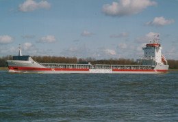 Delcampe - Herwesborg Cargo Ship 1997 Postcard Size Real Photo #SDG057 - Handel