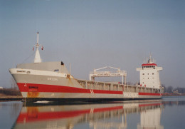 Delcampe - Arion Cargo Ship Postcard Size Real Photo #SDG051 - Handel
