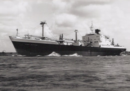 Delcampe - STRAAT AMSTERDAM Cargo Ship Postcard Size Real Photo #SDG040 - Handel