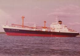 Delcampe - NEDLLOYD ADELAIDE Cargo Ship Postcard Size Real Photo #SDG035 - Handel