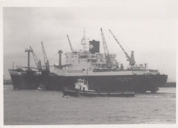 Delcampe - STRAAT AMSTERDAM Cargo Ship 1969 Postcard Size Real Photo #SDG041 - Handel